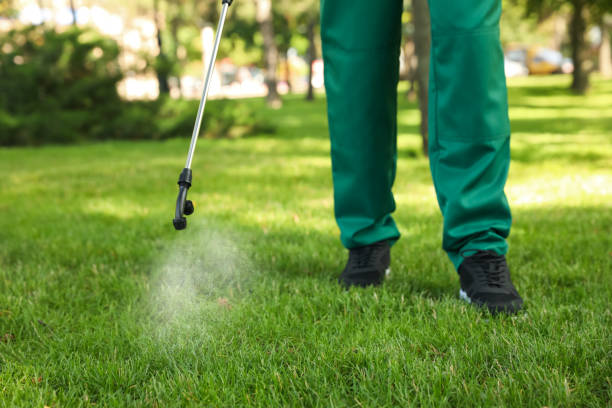 Best Pest Prevention Services  in Rockledge, FL