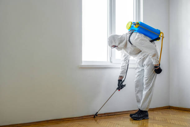 Best Residential Pest Control  in Rockledge, FL
