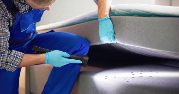 Professional Pest Control in Rockledge, FL