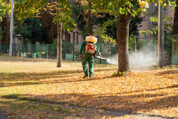 Flea Control Services in Rockledge, FL