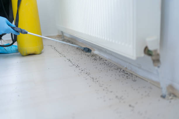 Best Best Pest Control Companies  in Rockledge, FL